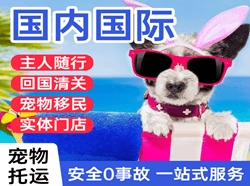 阿克苏红旗坡空运国际宠物托运 【国